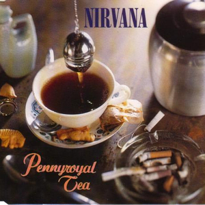 Where Did You Sleep Last Night – Kurt Cobain 选自《Pennyroyal Tea》专辑